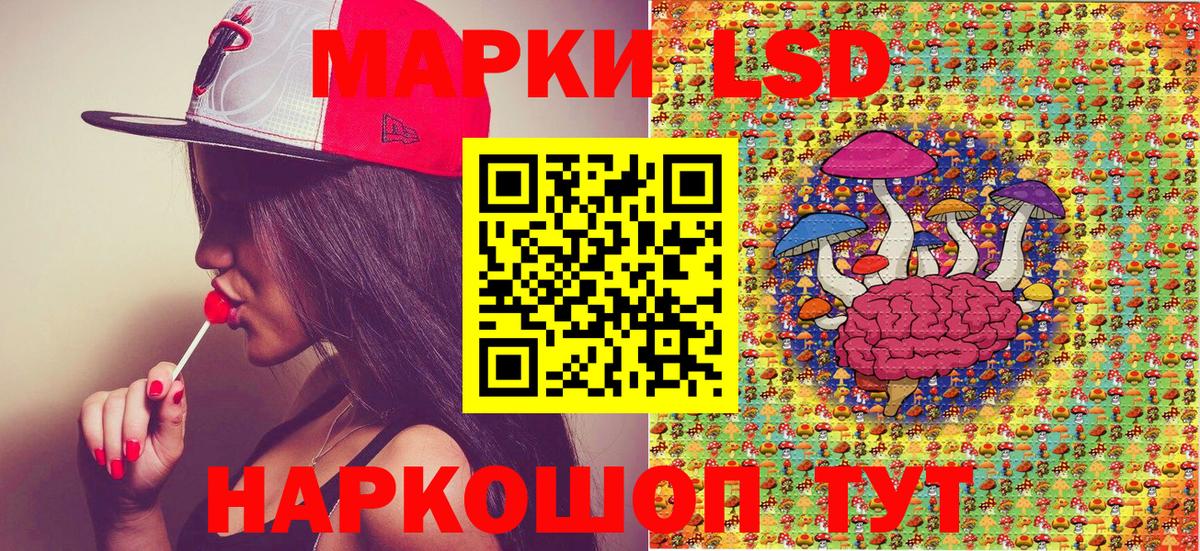 Марки NBOMe 1,8мг  Вход с VPN  Камышин  Марки NBOMe 1,8мг 