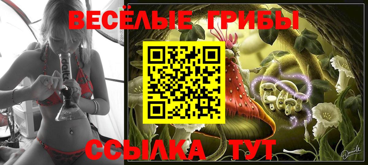как найти закладки  Псилоцибиновые грибы Cubensis  Вход с VPN  Камышин 
